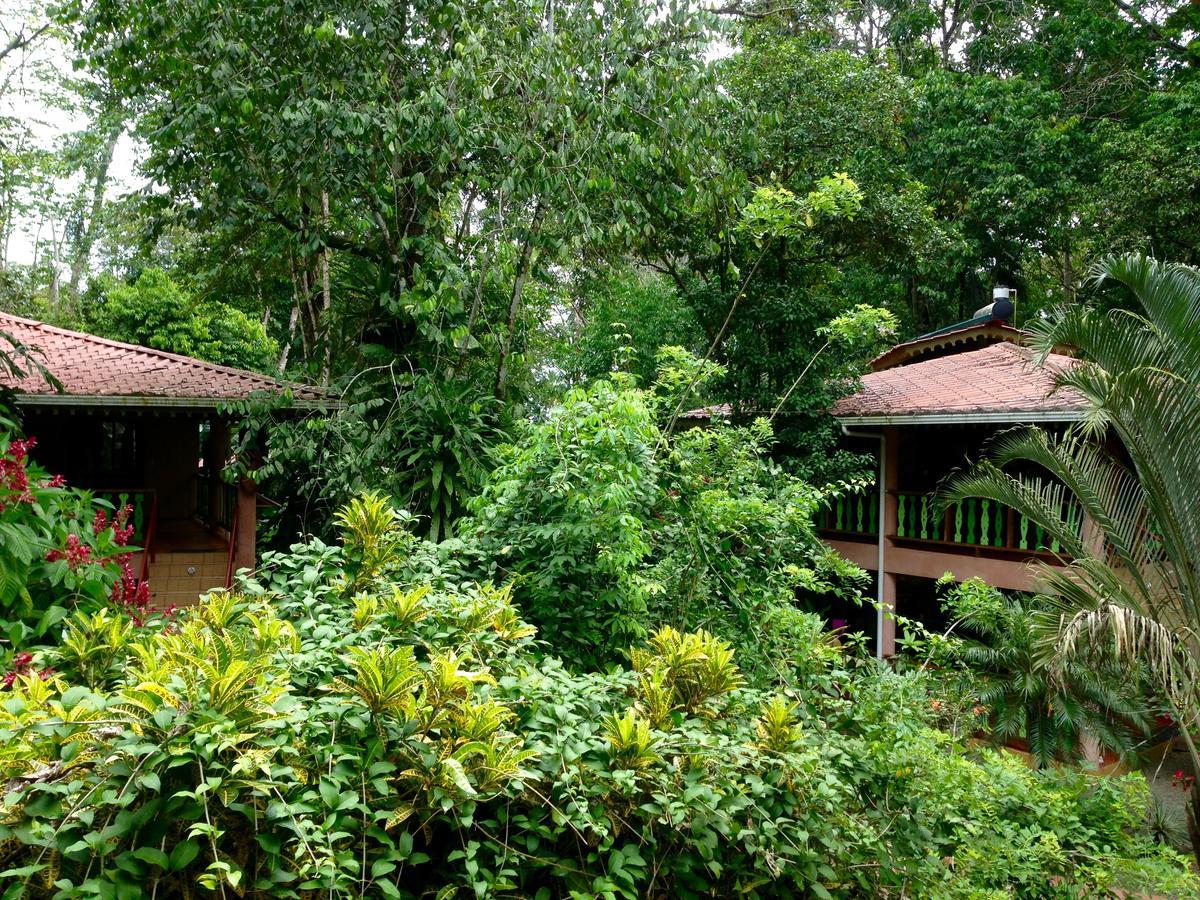 The Goddess Garden Eco-Resort Cahuita Ngoại thất bức ảnh