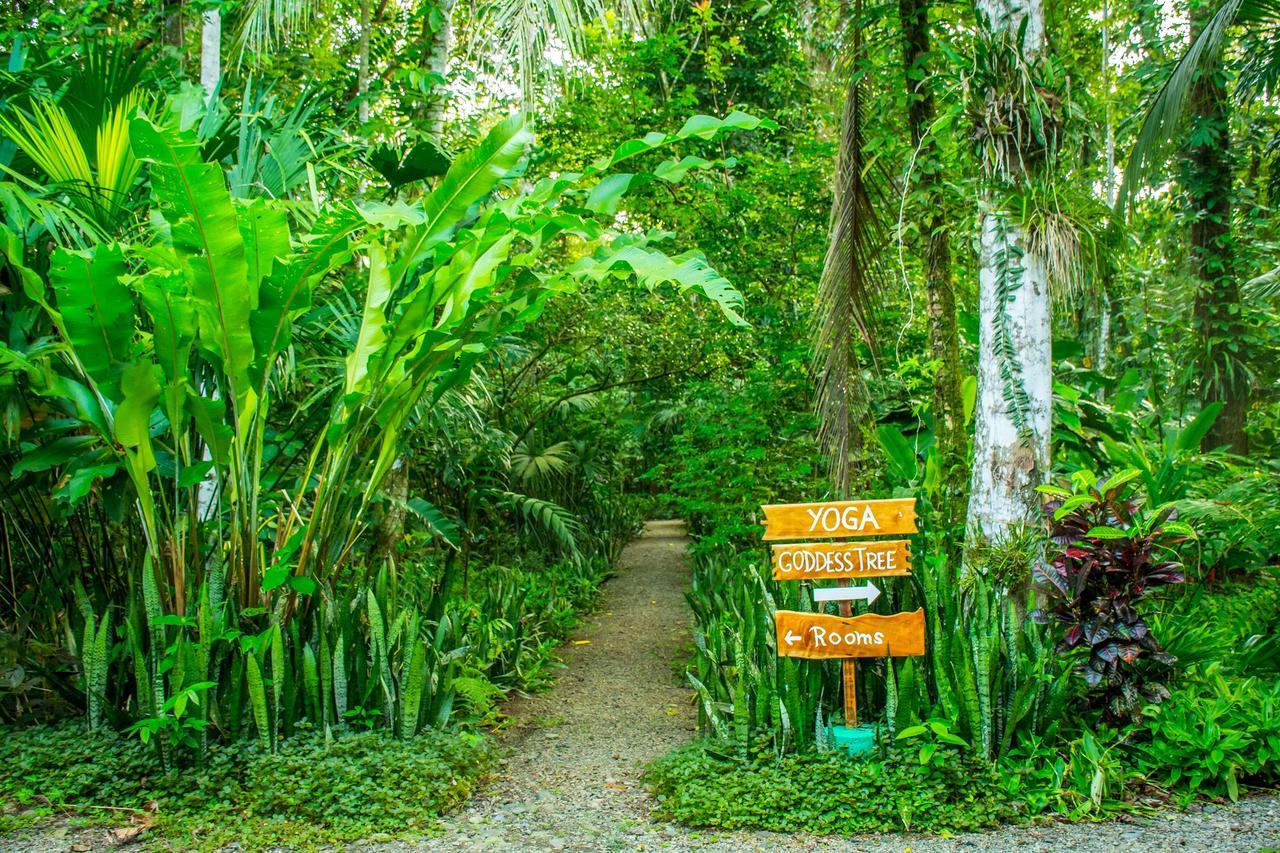 The Goddess Garden Eco-Resort Cahuita Ngoại thất bức ảnh